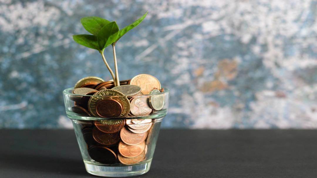 Coins in a glass jar with a plant on top